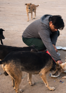 chatgpt image jan 7, 2026, 03 28 53 pm