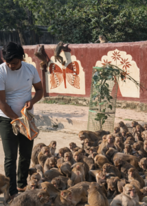 chatgpt image jan 7, 2026, 03 32 44 pm